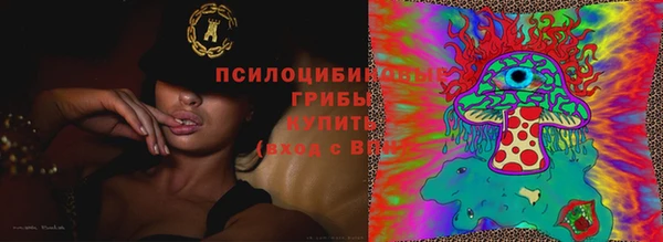 мдпв Нея