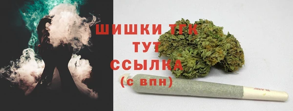 мдпв Нея