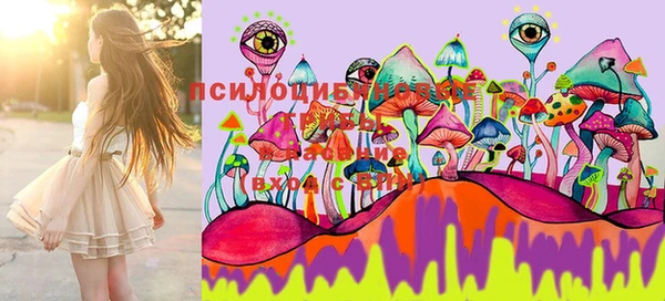 марки lsd Нефтекумск