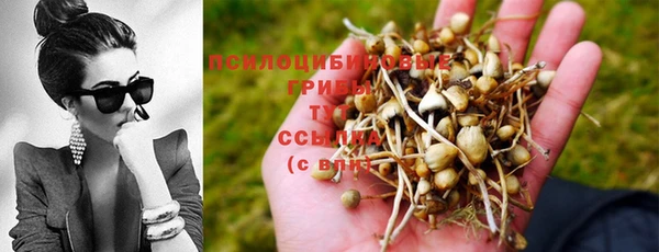 гашишное масло Нефтегорск