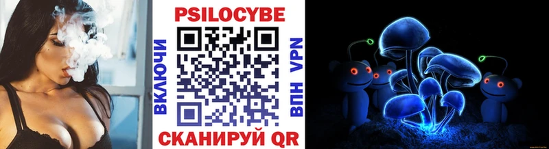 Галлюциногенные грибы прущие грибы  Купить  Кологрив 